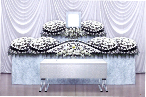 にじのわプラン“虹彩”