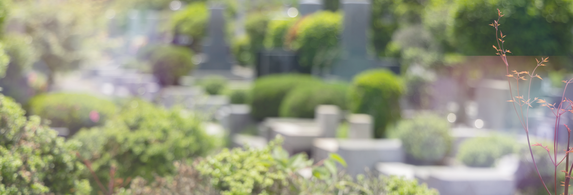 お問い合わせはこちら