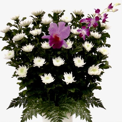  供花物サンプル